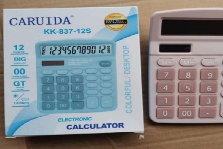 重庆树人凤天小学形象图