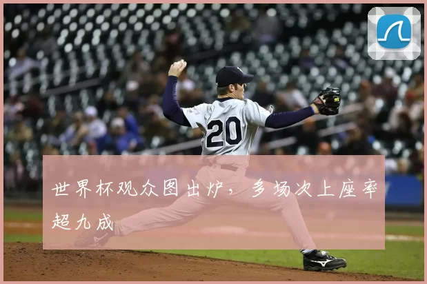 世界杯观众图出炉，多场次上座率超九成