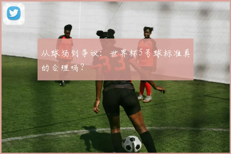 从球场到争议：世界杯5号球标准真的合理吗？