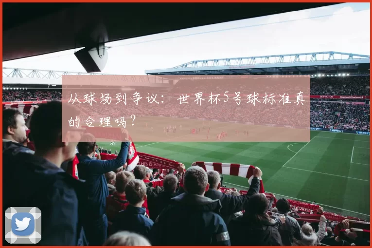从球场到争议：世界杯5号球标准真的合理吗？