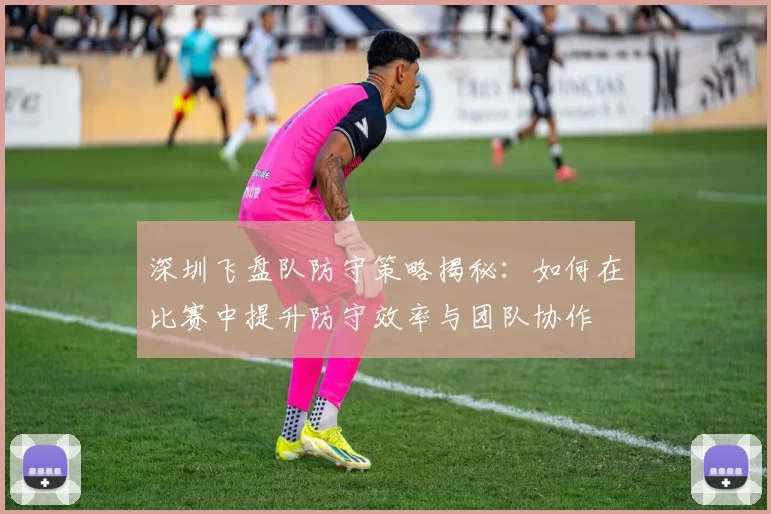 深圳飞盘队防守策略揭秘:如何在比赛中提升防守效率与团队协作