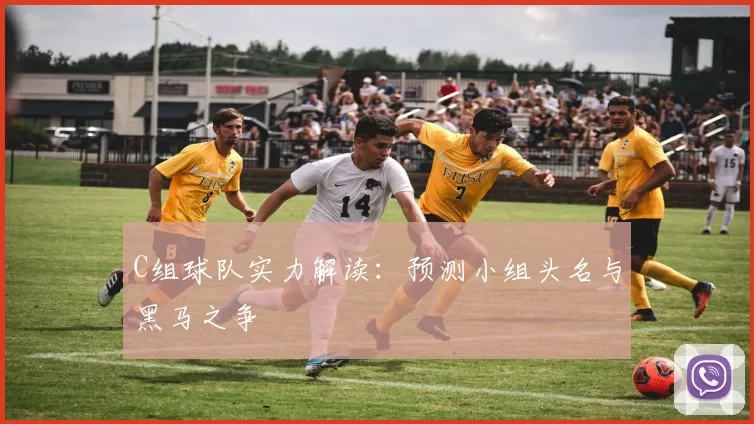 C组球队实力解读：预测小组头名与黑马之争