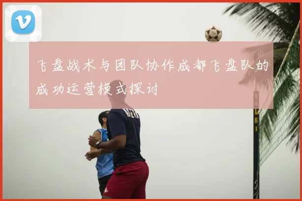 飞盘战术与团队协作成都飞盘队的成功运营模式探讨