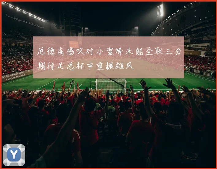 厄德高感叹对小蜜蜂未能全取三分期待足总杯中重振雄风