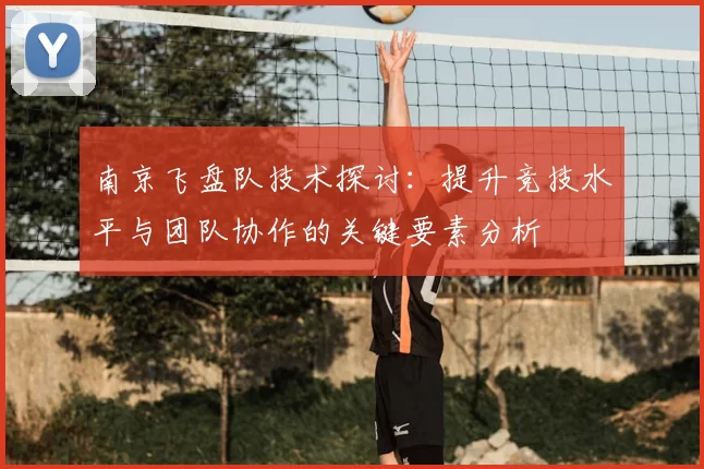 南京飞盘队技术探讨：提升竞技水平与团队协作的关键要素分析