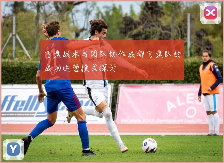 飞盘战术与团队协作成都飞盘队的成功运营模式探讨