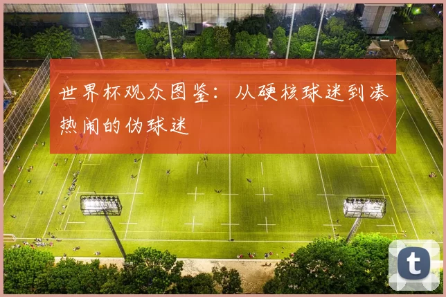 世界杯观众图鉴：从硬核球迷到凑热闹的伪球迷