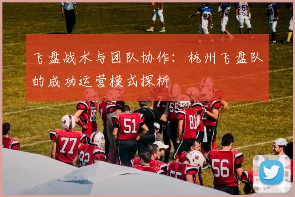 飞盘战术与团队协作：杭州飞盘队的成功运营模式探析