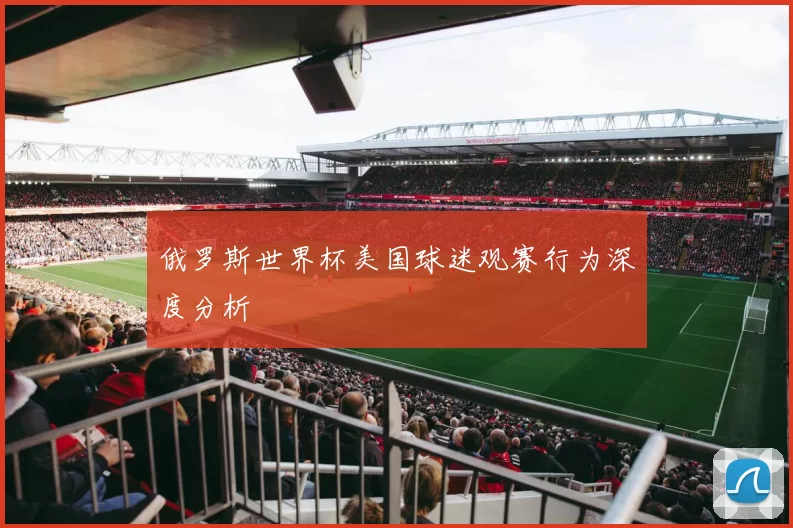 俄罗斯世界杯美国球迷观赛行为深度分析