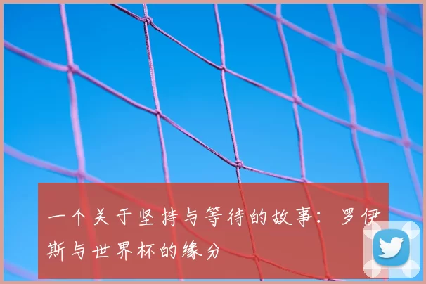 一个关于坚持与等待的故事：罗伊斯与世界杯的缘分