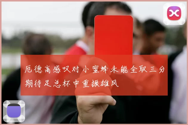 厄德高感叹对小蜜蜂未能全取三分期待足总杯中重振雄风