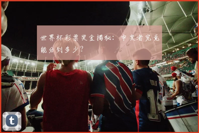 世界杯彩票奖金揭秘:中奖者究竟能分到多少?