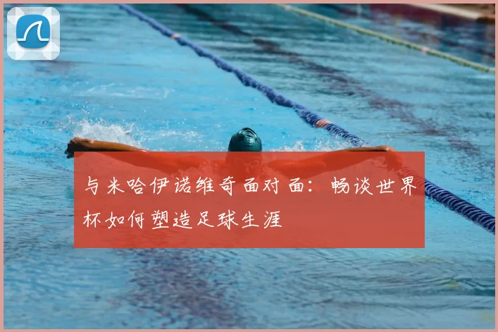 与米哈伊诺维奇面对面：畅谈世界杯如何塑造足球生涯