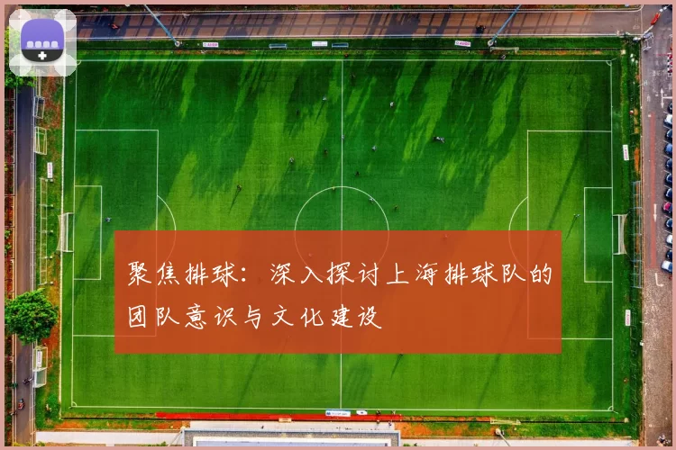 聚焦排球：深入探讨上海排球队的团队意识与文化建设