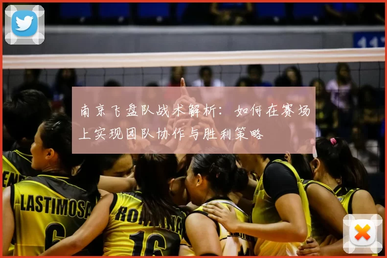 南京飞盘队战术解析:如何在赛场上实现团队协作与胜利策略