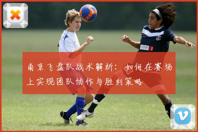 南京飞盘队战术解析：如何在赛场上实现团队协作与胜利策略