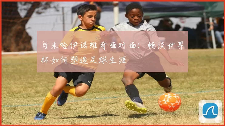 与米哈伊诺维奇面对面：畅谈世界杯如何塑造足球生涯