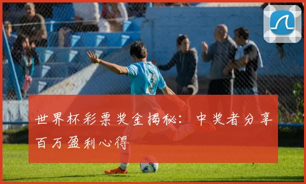 世界杯彩票奖金揭秘：中奖者分享百万盈利心得