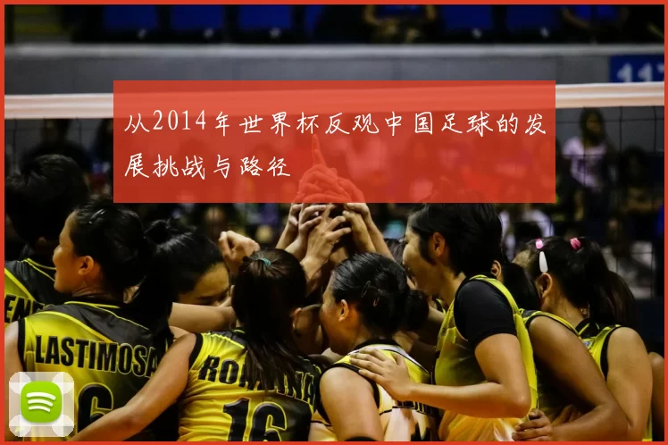 从2014年世界杯反观中国足球的发展挑战与路径