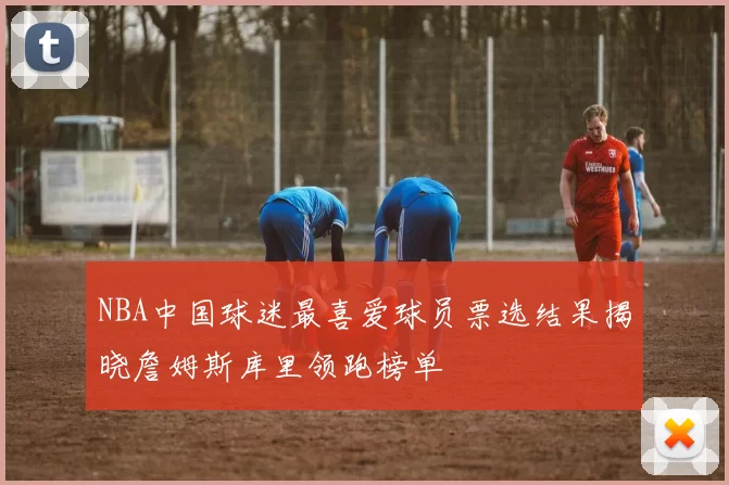 NBA中国球迷最喜爱球员票选结果揭晓詹姆斯库里领跑榜单