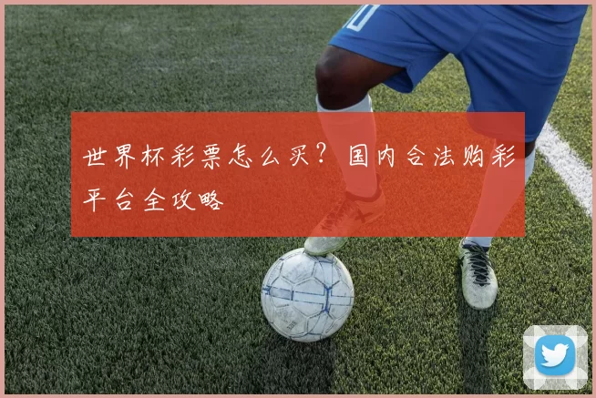 世界杯彩票怎么买?国内合法购彩平台全攻略