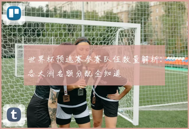世界杯预选赛参赛队伍数量解析：各大洲名额分配全知道