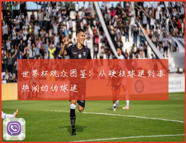 世界杯观众图鉴：从硬核球迷到凑热闹的伪球迷